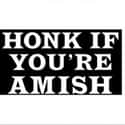 Amish Jokes: Fun for 300 Years Running on Random Funniest Bumper Stickers on the Road