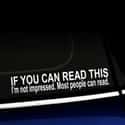 Illiterates Not Offended on Random Funniest Bumper Stickers on the Road