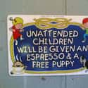 Espresso and a Puppy on Random Passive Aggressive Signs at Stores