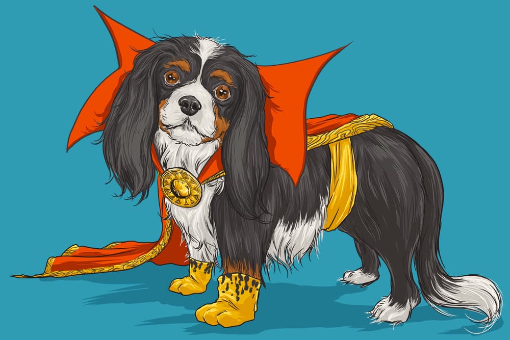 The Best Marvel Comics Characters as Dogs, Ranked