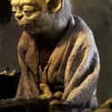 When 900 Years Old, You Reach… Look As Good, You Will Not. on Random Best One-Liners in Star Wars Films