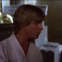 If There's A Bright Center To The Universe, You're On The Planet That It's Farthest From. on Random Best One-Liners in Star Wars Films