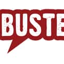 Busted Tees on Random Best Websites for Funny T-Shirts