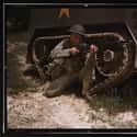 M1 Garand Rifle on Random Most Iconic World War 2 Weapons