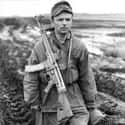 StG44 on Random Most Iconic World War 2 Weapons