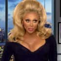 Impersonating Beyonce is your destiny, child. on Random Best RuPaul's Drag Race Season 6 Quotes