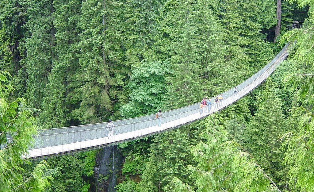 Fear of Bridges Photos | Gephyrophobia Pictures