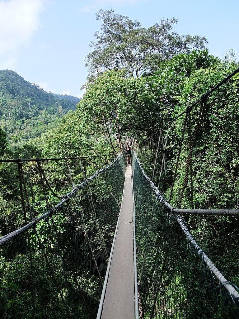 Fear of Bridges Photos | Gephyrophobia Pictures