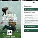 Online Banking on Random Most Useful Things You Can Do with Your Phon
