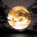 Harvest Moon on Random Best Full Moons in the Sky