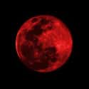 Blood Moon on Random Best Full Moons in the Sky