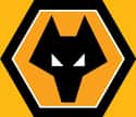 Wolverhampton Wanderers Football Club on Random Best Current Soccer (Football) Teams