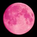 Pink Moon on Random Best Full Moons in the Sky