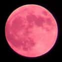 Strawberry Moon on Random Best Full Moons in the Sky