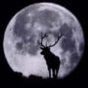 Buck Moon on Random Best Full Moons in the Sky