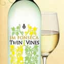 Twin Vines on Random Quality Wines Brands at Best Prices