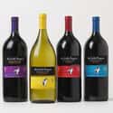 The Little Penguin on Random Quality Wines Brands at Best Prices
