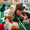 Puppy Bowl Referee on Random Best Jobs in the World