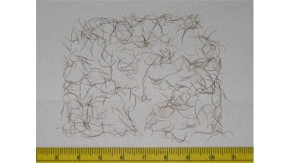 Gross Guiness World Records