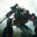 Michael Bay - Transformers: Revenge of the Fallen on Random Directors Who Hated Their Own Movies