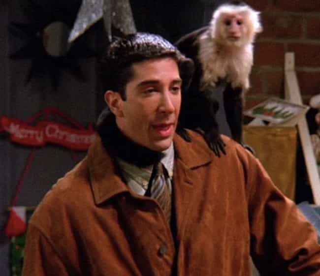 Animal Actors Who Were Difficult Diva Animals in TV Movies Animal Actors Who Were Difficult Diva Animals in TV Movies