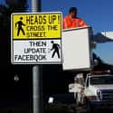 Roadkill Can't Update Facebook on Random the Funniest Street Signs on the Open Road