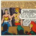 Wonder Woman Was The JLA's Secretary on Random Most Sexist Moments in Comics
