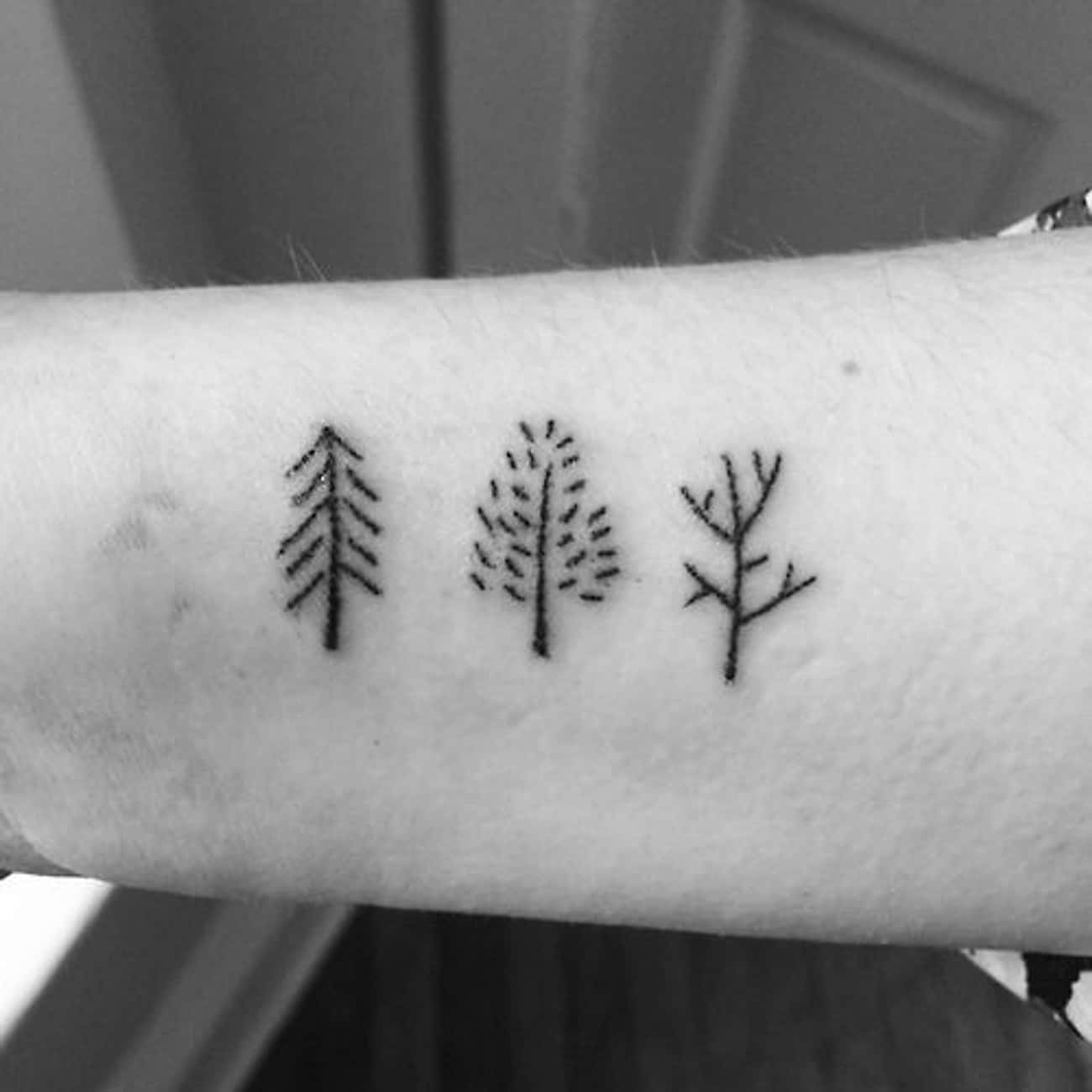 This Tiny  Forearm Forest