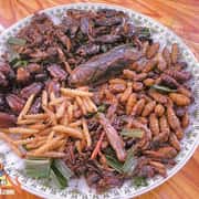 Fried Insects