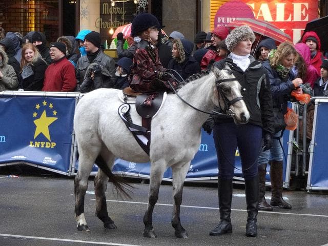 What Do New Years Parades Have in Common with Santa Claus?