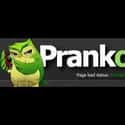 Prank Owl on Random Best Prank Call Websites