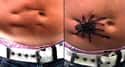 A Crawling Spider on Random Coolest Scar Tattoos