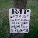 Dog Walkers Beware! on Random Hilarious Yard Signs You Wish Your Neighbors Had