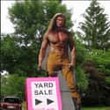 Is Fabio for Sale? on Random Hilarious Yard Signs You Wish Your Neighbors Had
