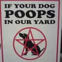 The Dark Lord Needs Animal Friends on Random Hilarious Yard Signs You Wish Your Neighbors Had