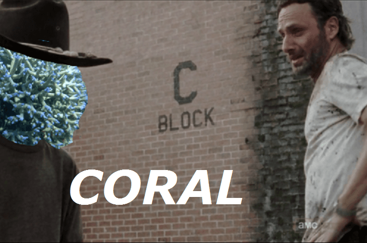 The Southern Accents Are All Over the Place