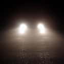 Fog Lights on Random Most Worthless New Car Options