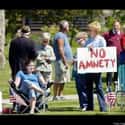 They Need Amnesty From Learning To Spell Amnesty on Random Misspelled Signs Held by People Who Love English