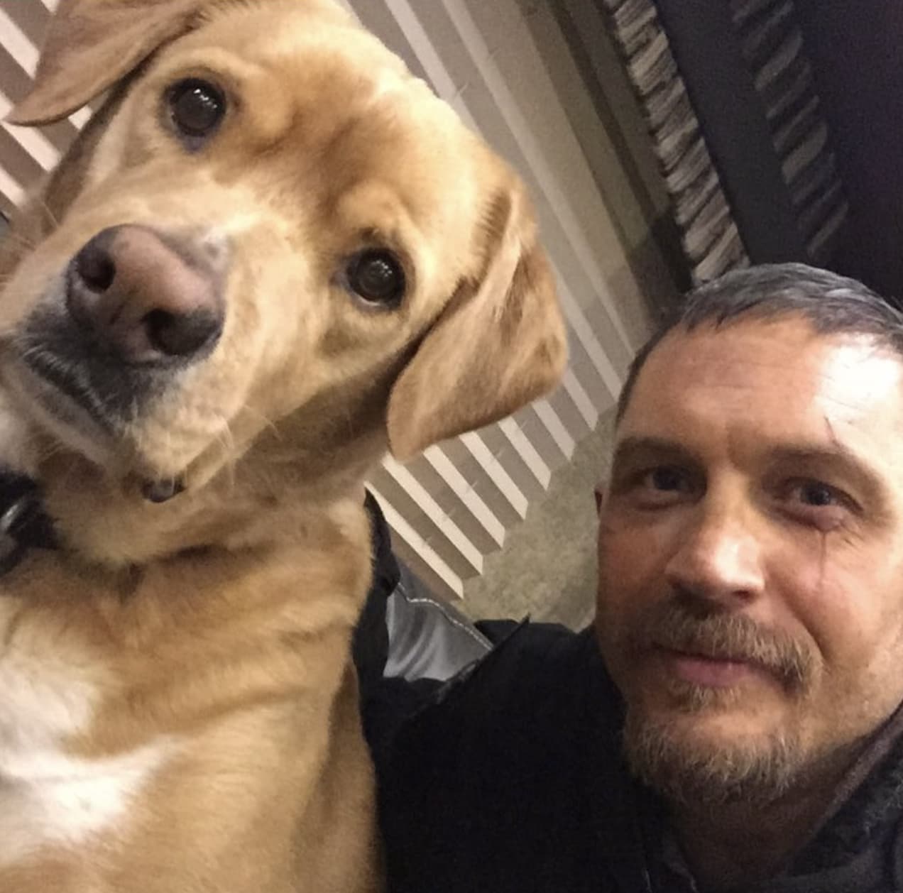 He Rehearses In Front Of His Dogs