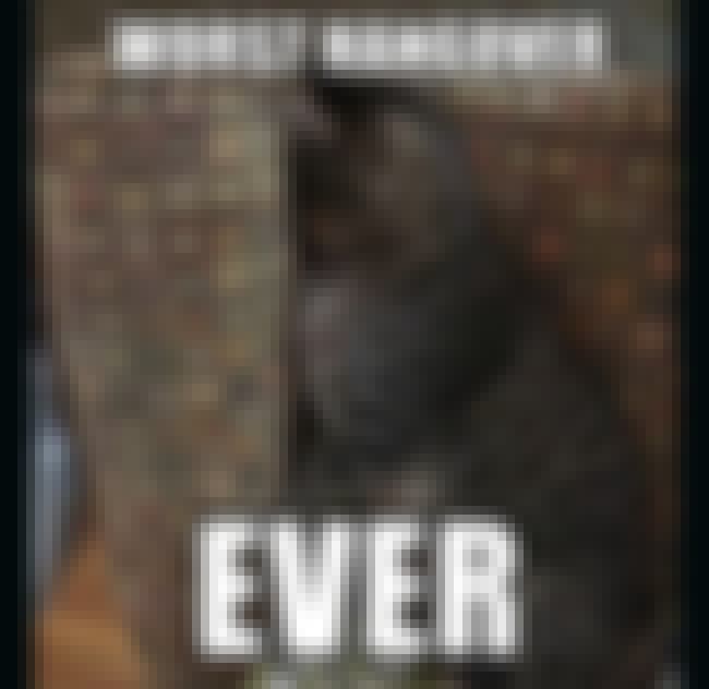 29 Thoughts You Have While Being Hungover at Work 29 Thoughts You Have While Being Hungover at Work