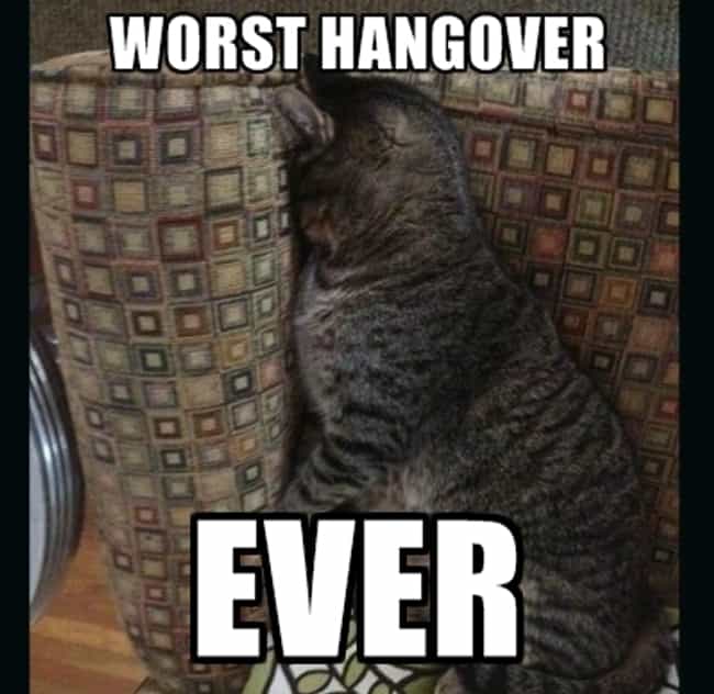 20 Thoughts You Have While Being Hungover at Work 20 Thoughts You Have While Being Hungover at Work