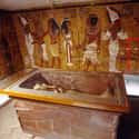 Nefertiti’s Tomb Was Believed To Be Hidden Behind King Tut’s on Random Facts You May Not Have Known About Queen Nefertiti