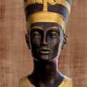 Nefertiti Held Many Titles During Her Reign on Random Facts You May Not Have Known About Queen Nefertiti