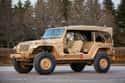 Jeep Wrangler Staff Car on Random Best Cars for Post-Apocalyptic Wasteland