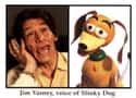 The Voice of Slinky Dog Died Between Parts 2 and 3 on Random Fun Facts About Toy Story Movies