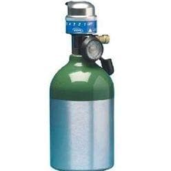 People Who Died MidFlight Airplane Deaths in the Air