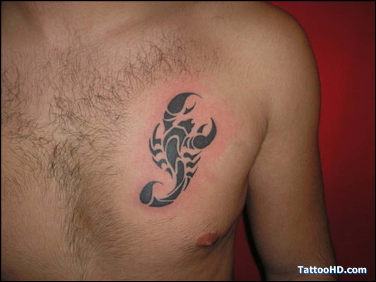 татуировка скорпион у мужчин на груди фото 103