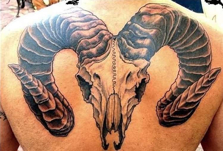 Aries Tattoos: 32 Ideas for Aries Tattoo Designs, Ranked by Rams