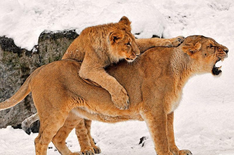 'Mom, Look Away! I Want To Surprise You!'