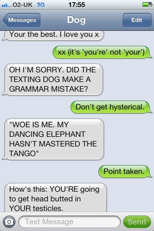 Not Even Texting Dog Is Spared From Grammar Perfectionist's Wrath on Random Hilarious Texts From The Grammar Police